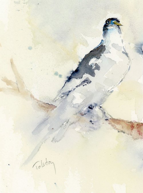 Songbird by Alex Tolstoy