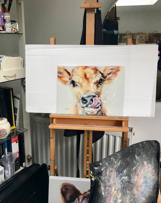 Messy Fred -  Original Oil Painting Jersey Cow, Resin 16x12"