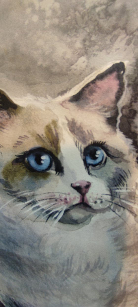 Blue eyes watercolor cat