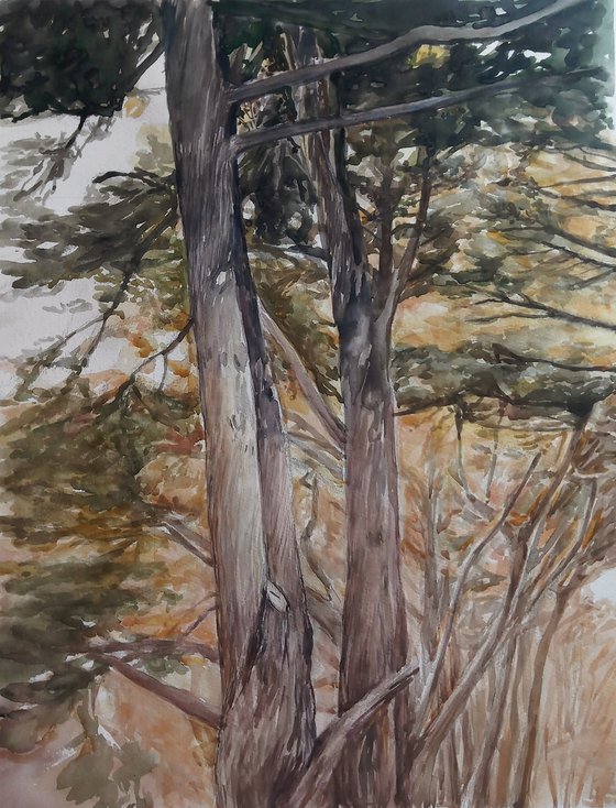 Trees watercolor painting