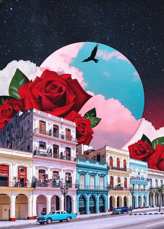 Cuba&Roses