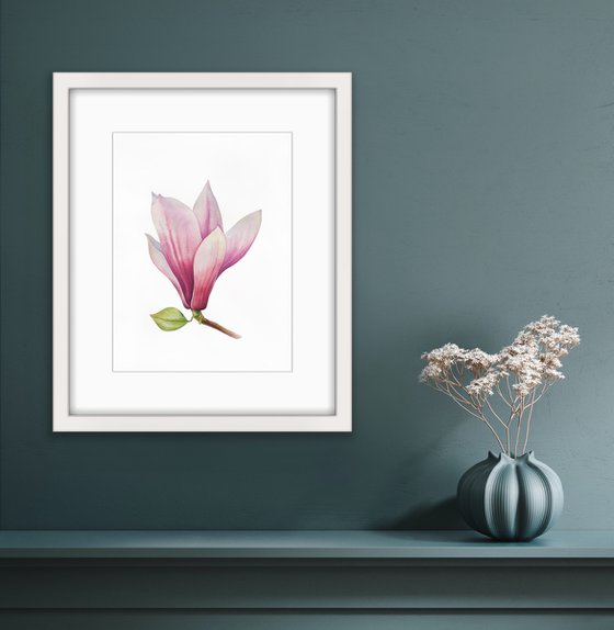 Magnolia blossom. Original watercolor artwork.