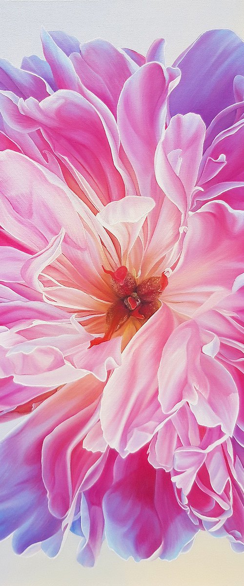 "Sweet love", realistic pink peony by Anna Steshenko