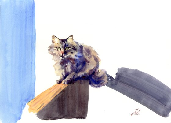 Stray cat in watercolor, Animal, Sun and shadows painting