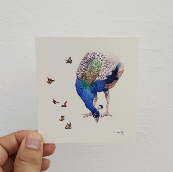 Peacock Miniature Art