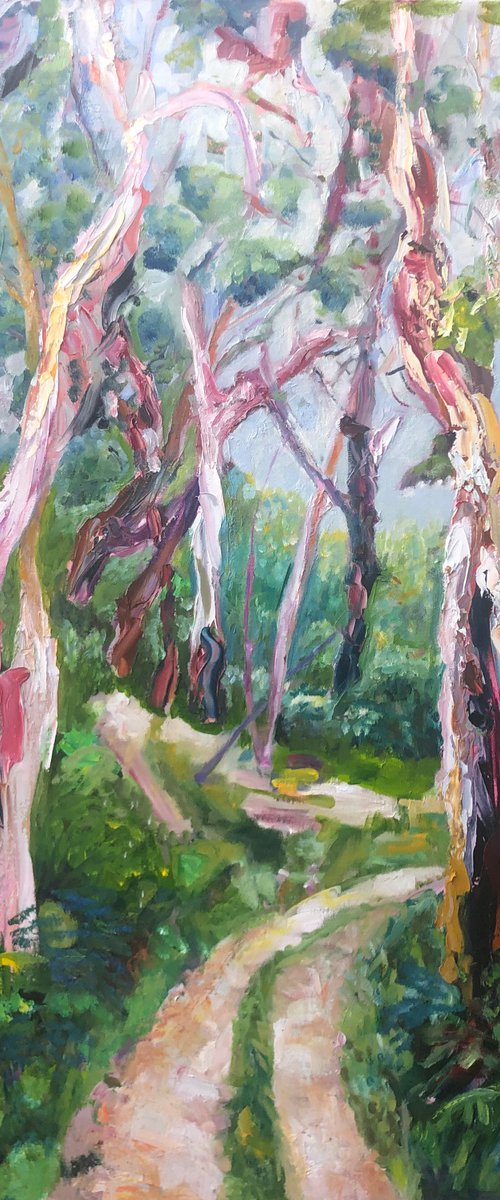 EUCALYPTUS FOREST by Maureen Finck