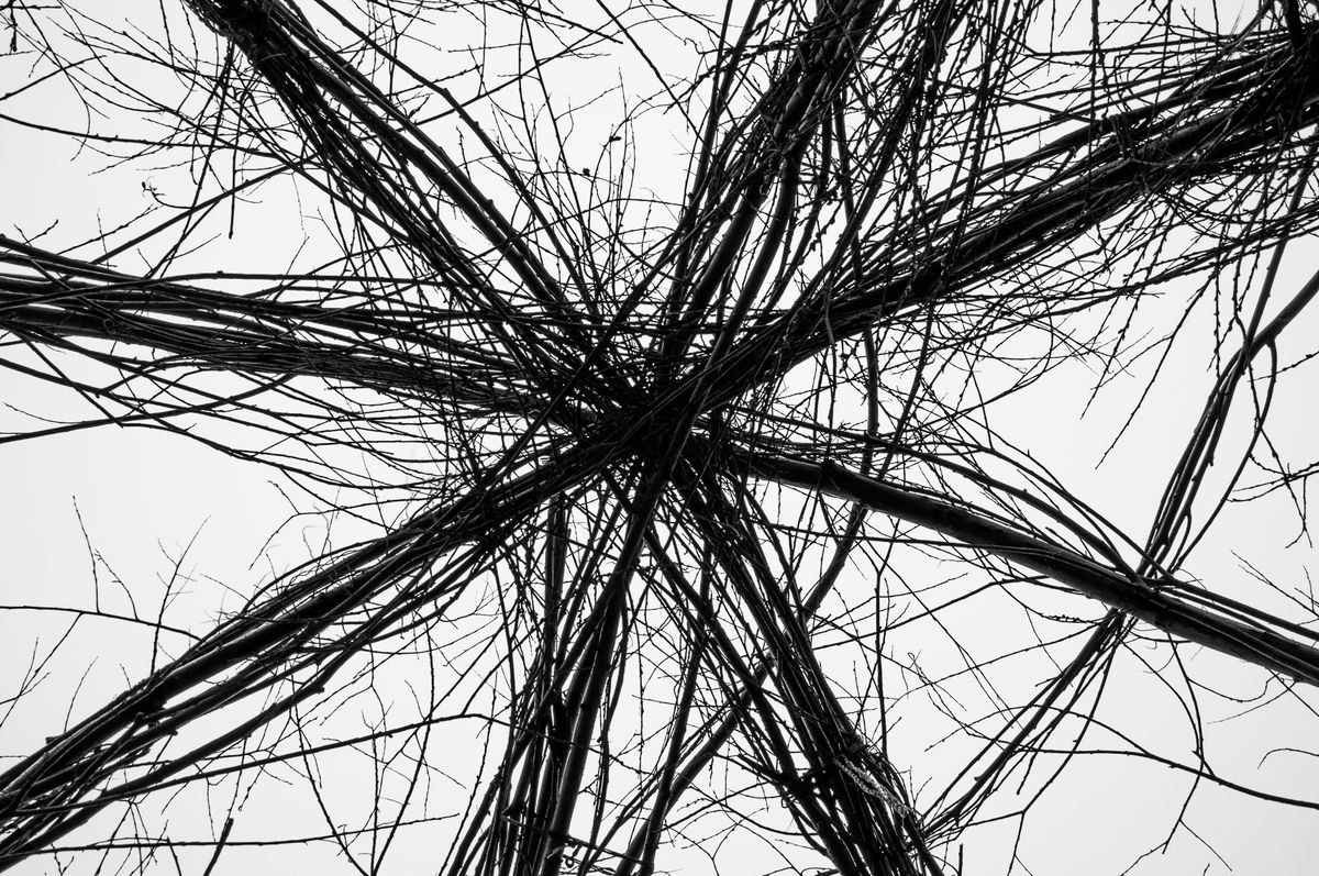 Neuron (from Ostensible abstraction set) by Adam Mazek
