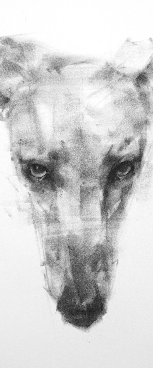 LONG FACE by Tianyin Wang