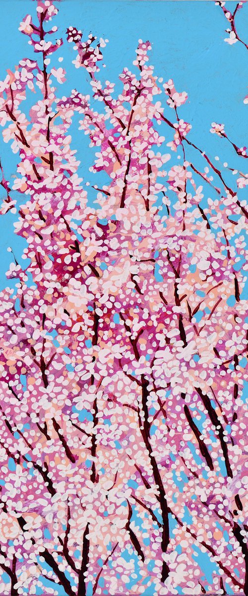 Cherry Blossom #6 by Alex Nizovsky