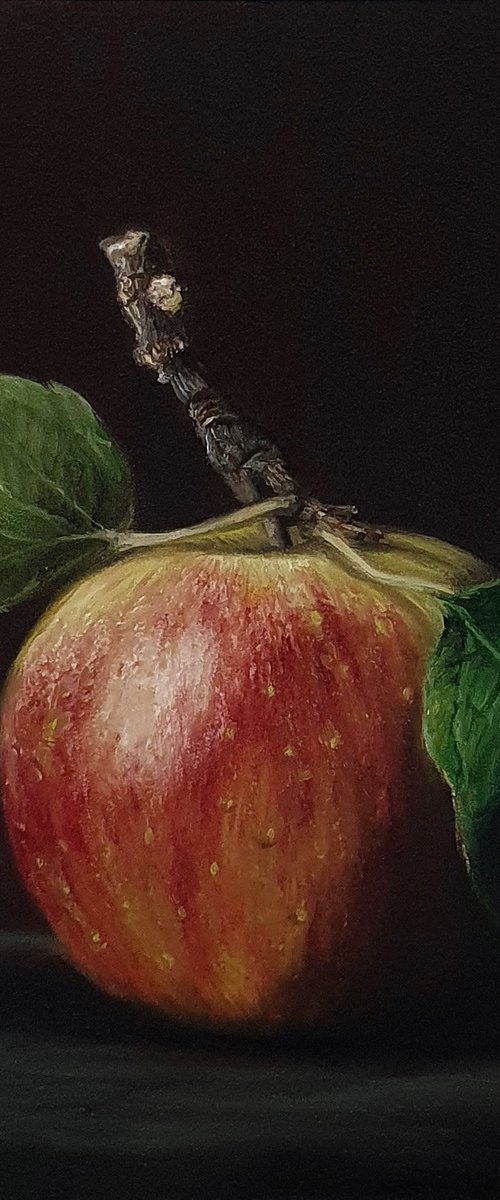 Pomme by Sarah Eden