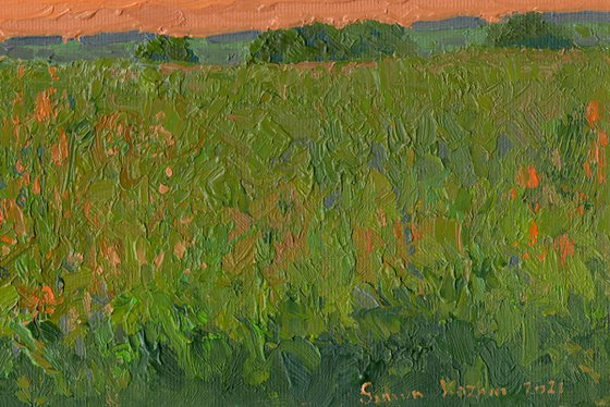 Orange Sunset. Chamzinka