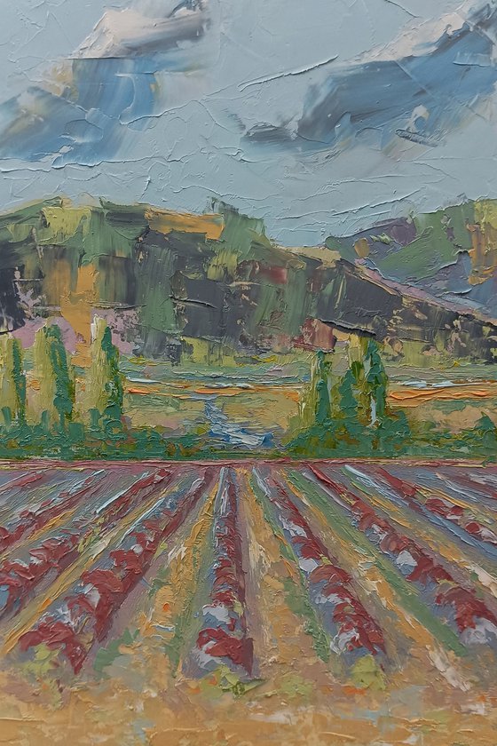 Lavander field. Landscape with lavander flowers