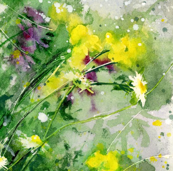 From the spring field
