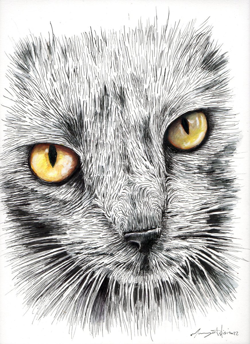 Urban And Pop Animal Ink Drawing By Maurizio Puglisi, 9 X 13", In Every Silence, Original Artwork