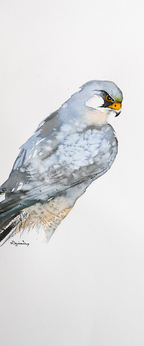 Birds Of Prey A3-7 by Rajan Dey