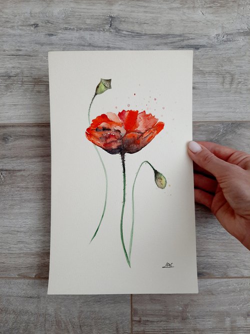 Poppy flowers by Luba Ostroushko