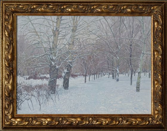 Snow-covered boulevard in Maryino