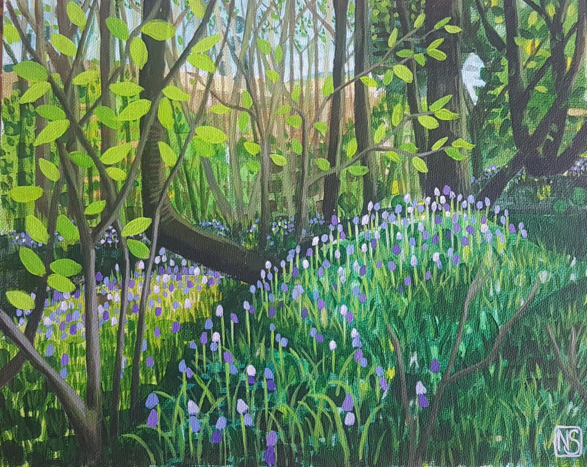 The Bluebell Mound by Nina Shilling