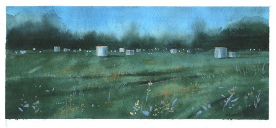 Twilight field