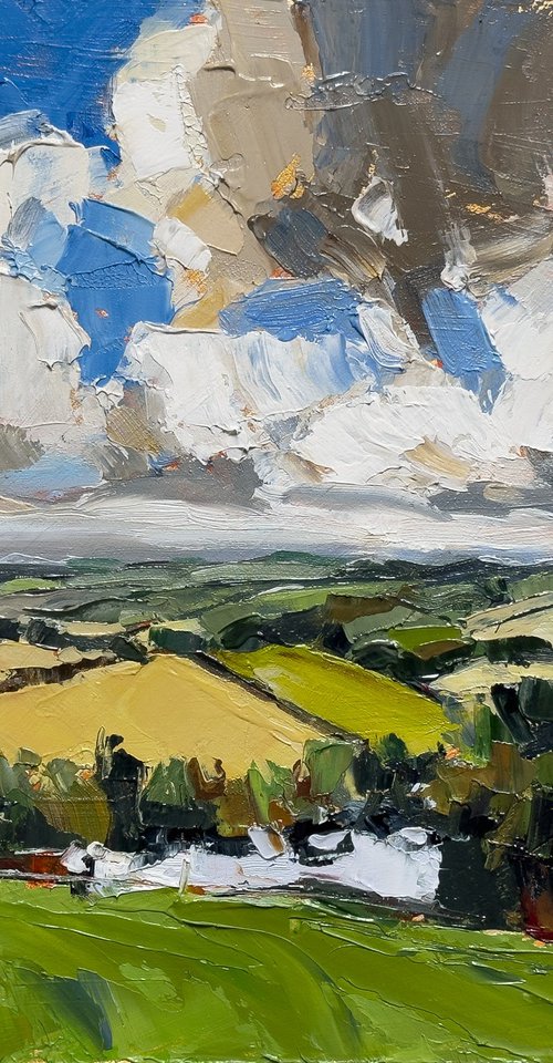 Fields of Light by Daria Zavadenko