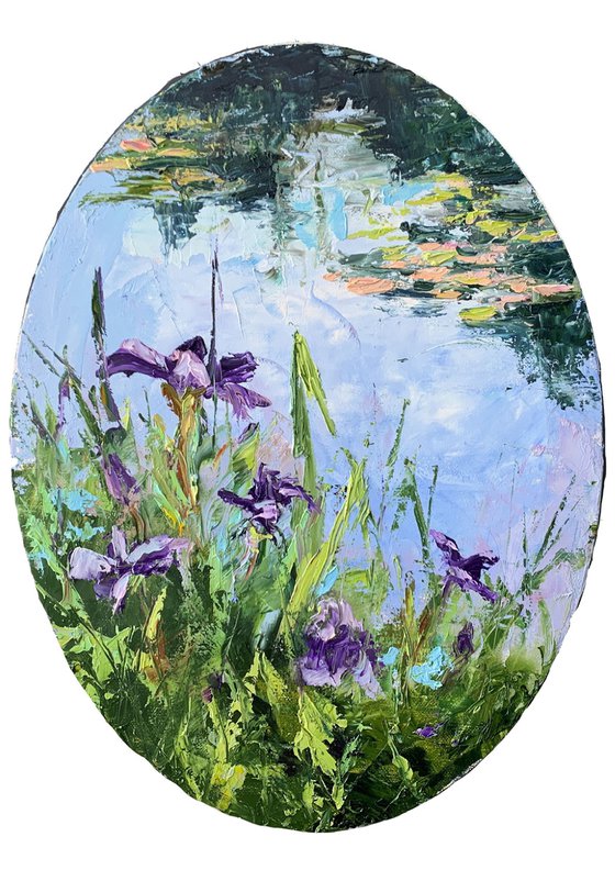 Water Lilly pond with violet flowers.