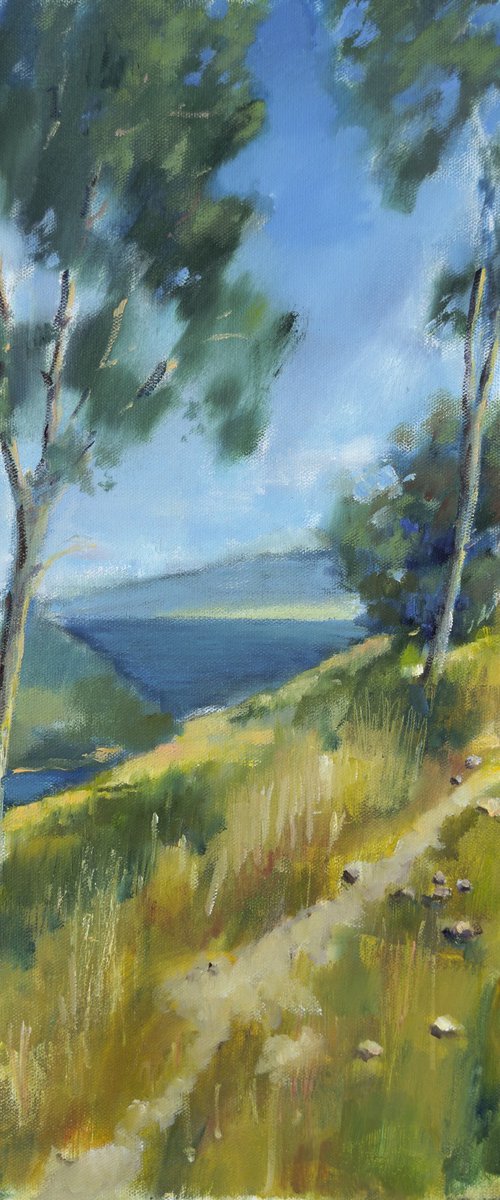 I looking at Loch Ness by Olha Laptieva
