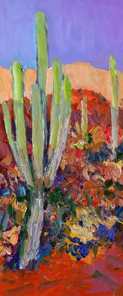 Morning in the Desert, Saguaro Cactuses by Suren Nersisyan