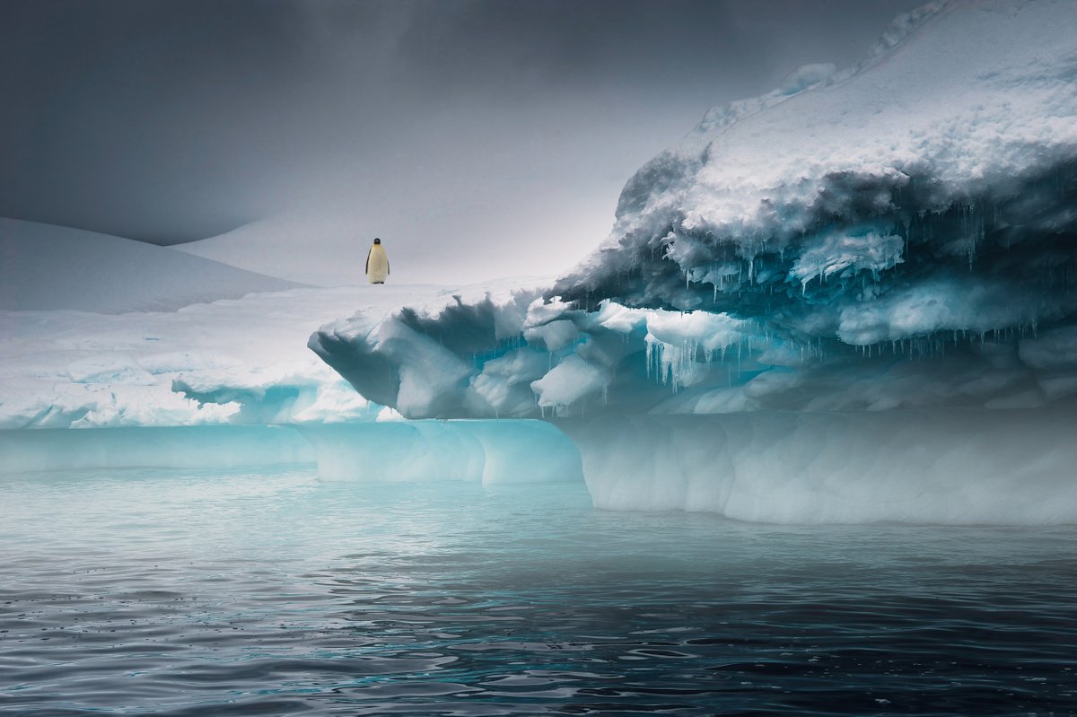 The Sentinel...Ready to hang, limited edition photograph made in Antarctica by Harv Greenberg