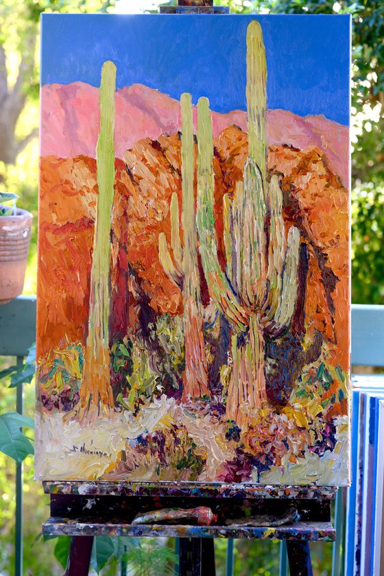 Saguaro Cactuses in Arizona