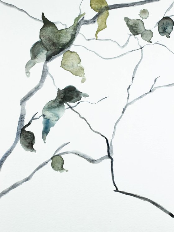 Branch Study No. 15