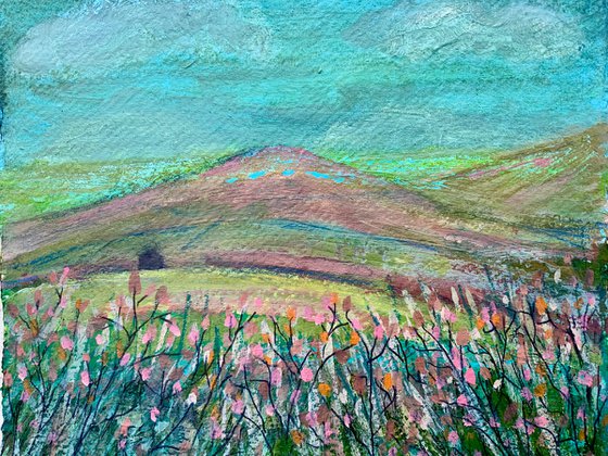 Moorland Views