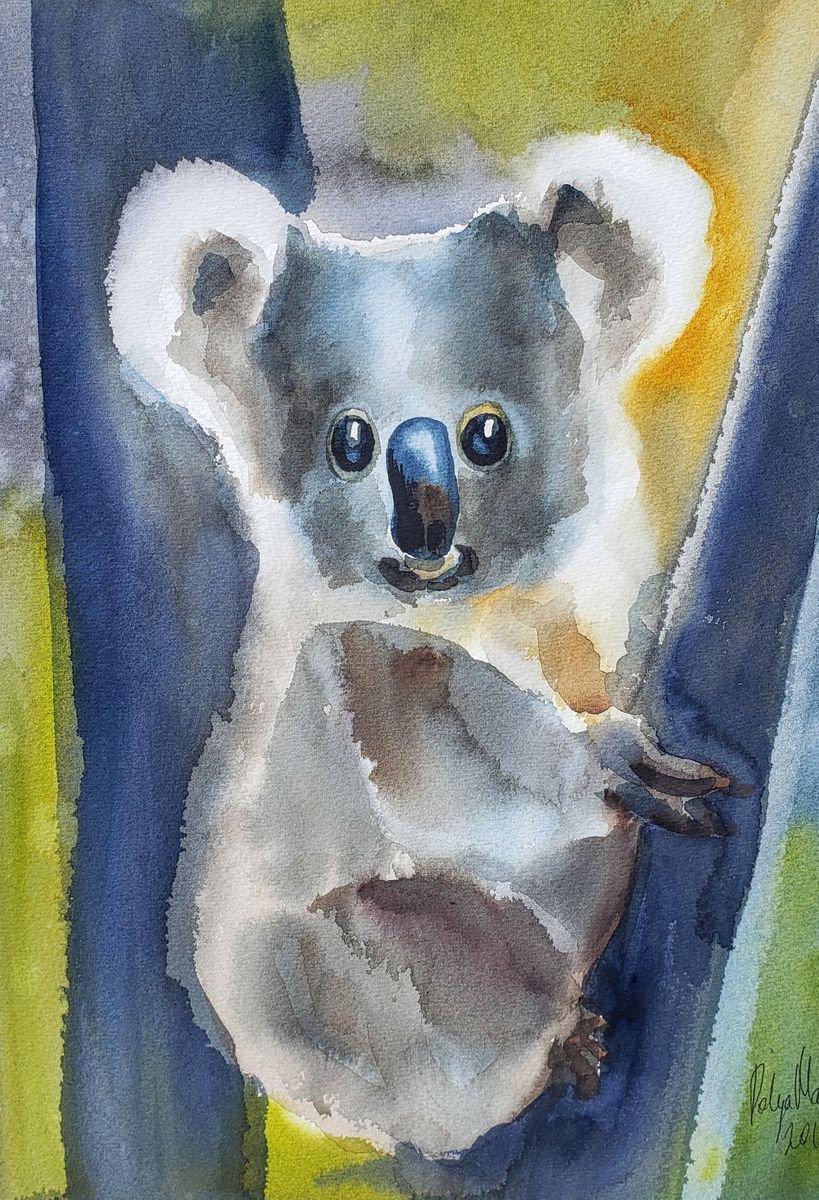 Koala bear by Polina Morgan