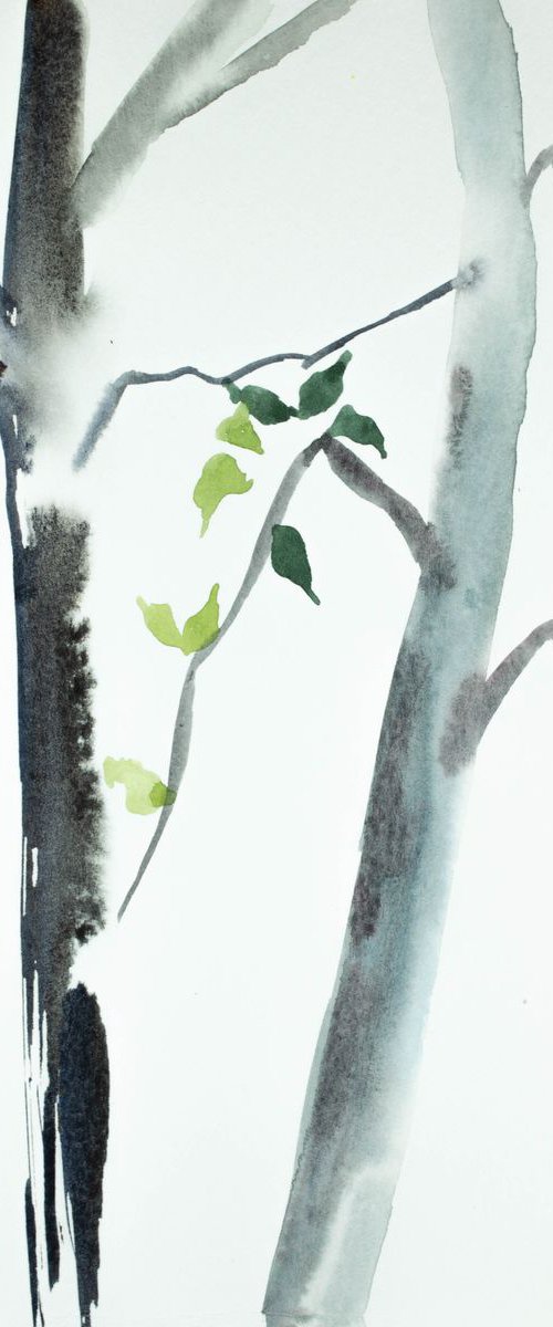 The Woods No. 75 by Elizabeth Becker