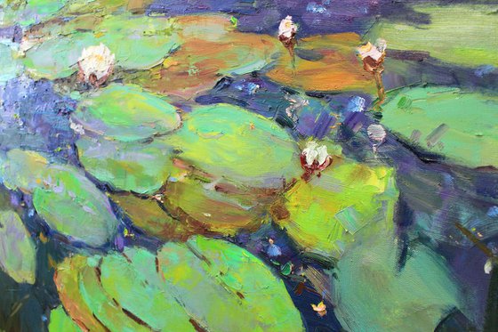 Water Lilies #4