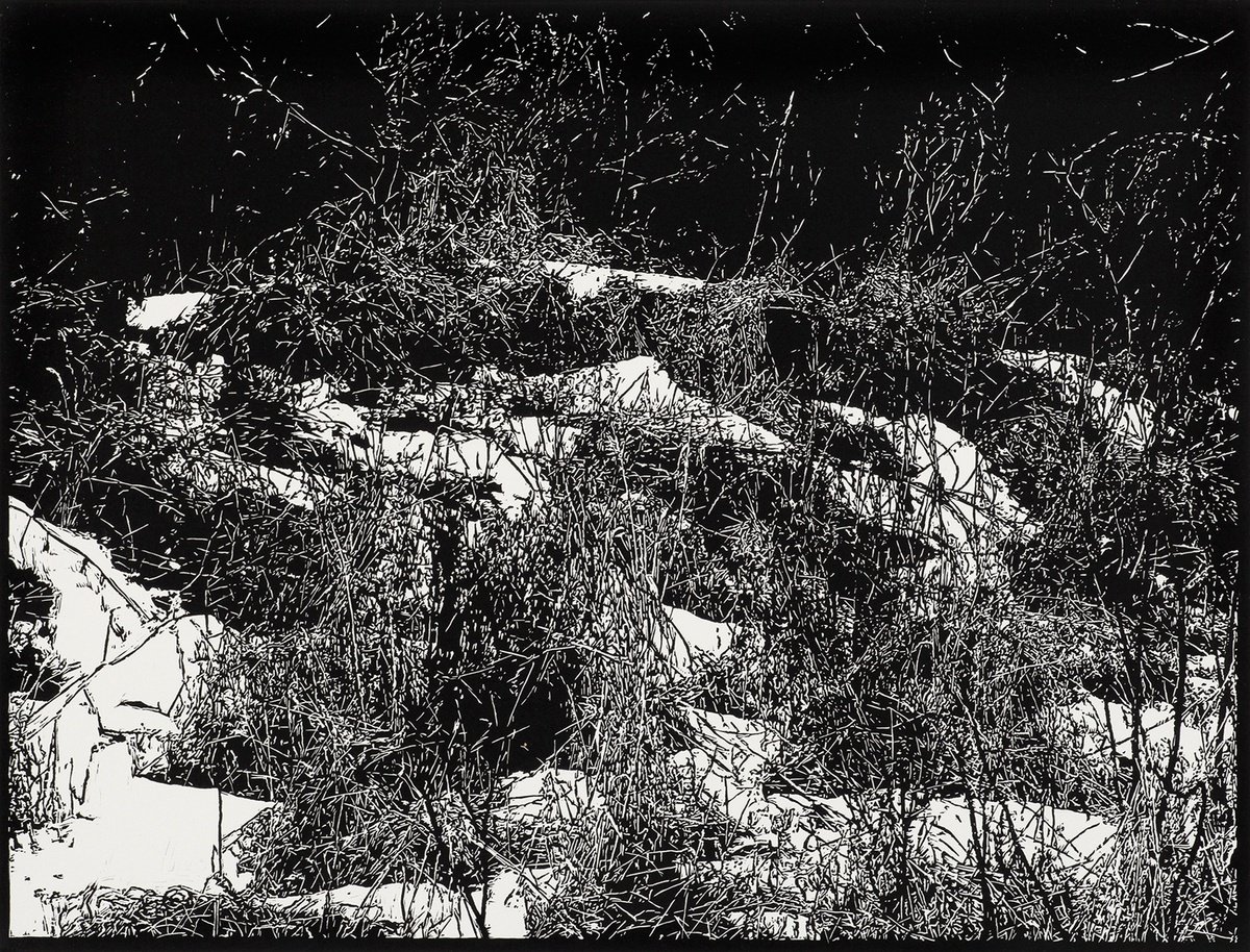 Impressionistic Landscape Linocut By David Conn, 29 X 22, Sussex, Original Artwork