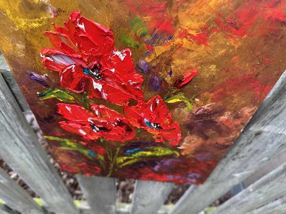 Red poppies dark background