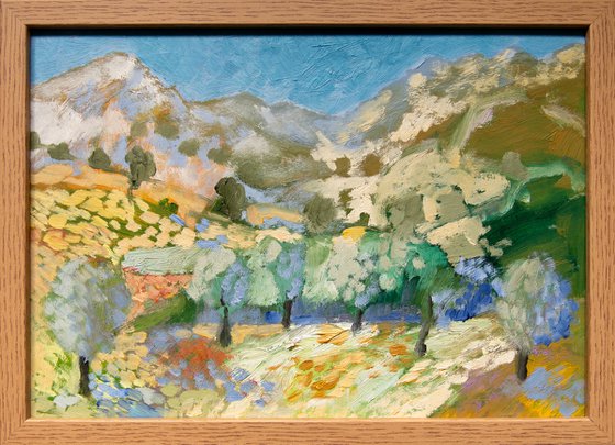 Olive Groves