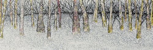 Birch forest by Sun-Hee Jung
