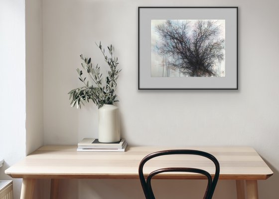 Old winter tree. One of a kind, original painting, handmad work, gift, watercolour art.