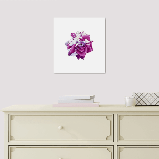 Rose Hanri Matisse Painting