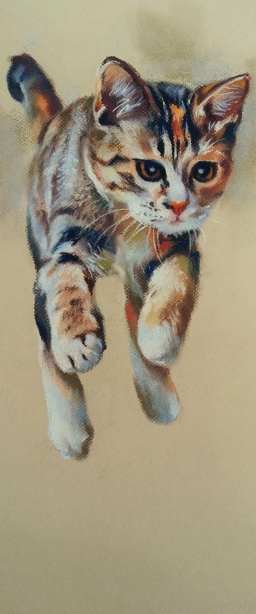 Kitten Max by Magdalena Palega