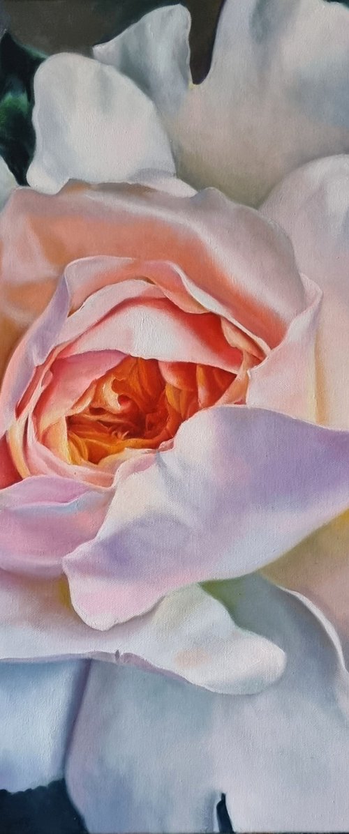 "With a fan." rose  flower 2022 by Anna Bessonova (Kotelnik)