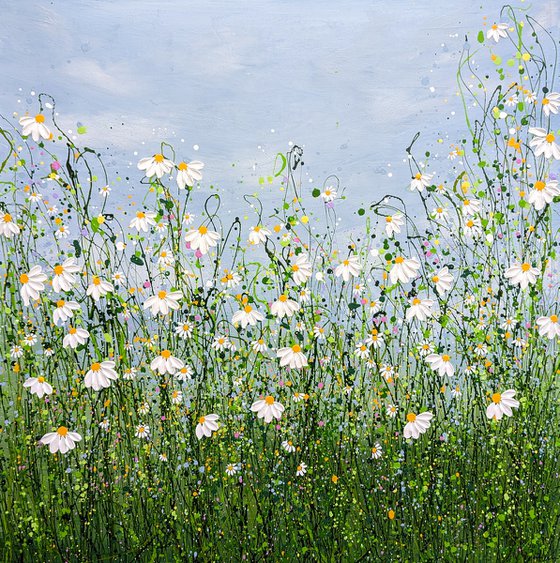 Wild Daises