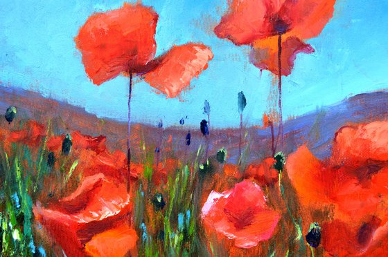 Coral Poppies