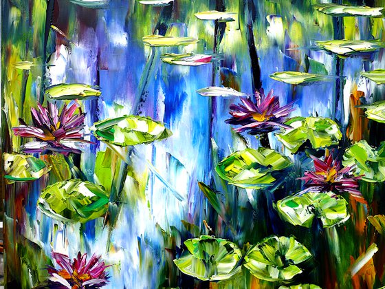 Water Lilies And Lotus Flowers