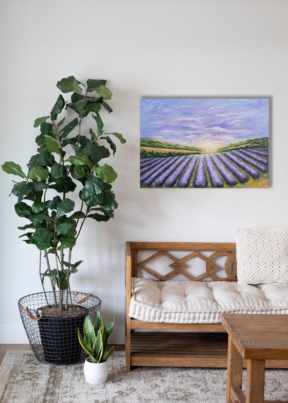 Lavender Horizon
