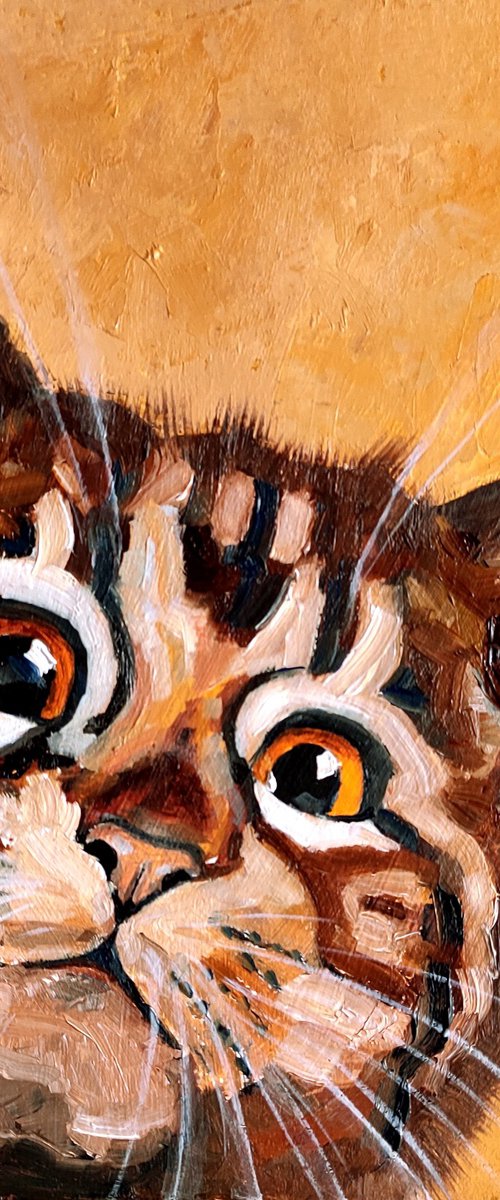 Tabby Cat by Yulia Berseneva