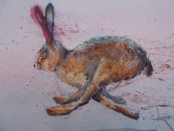 hare 9