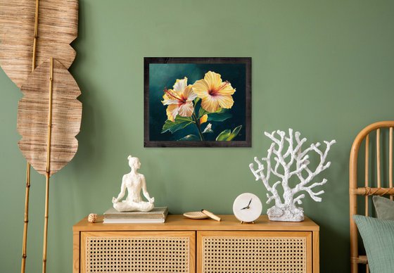 Two yellow hibiscus flowers