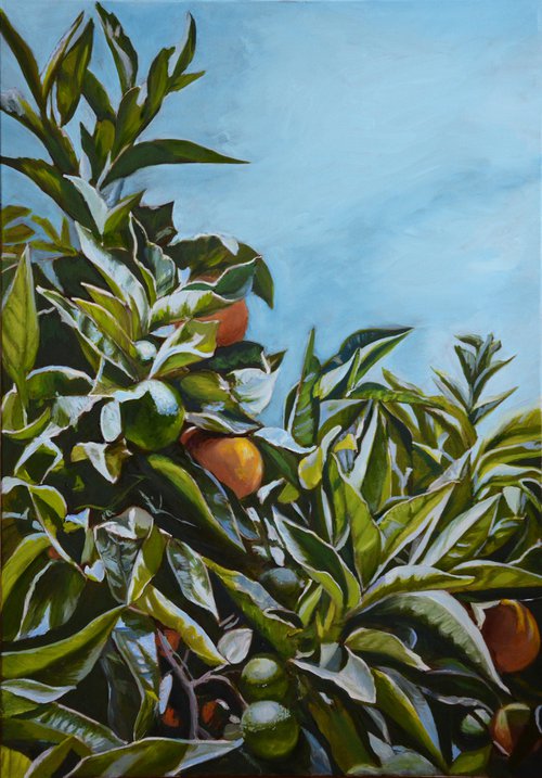 How many oranges are there? Orange tree painting by Anna Brazhnikova